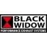 BLACK WIDOW (114)