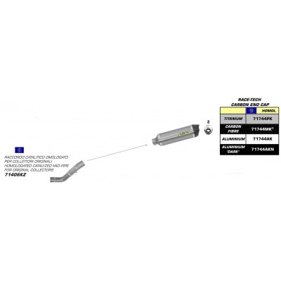 ARROW ALUMINIUM RACE-TECH CARBON END CAP FULL SYSTEM FOR APRILIA RSV4 2011 PART #71406KZ+71744AK