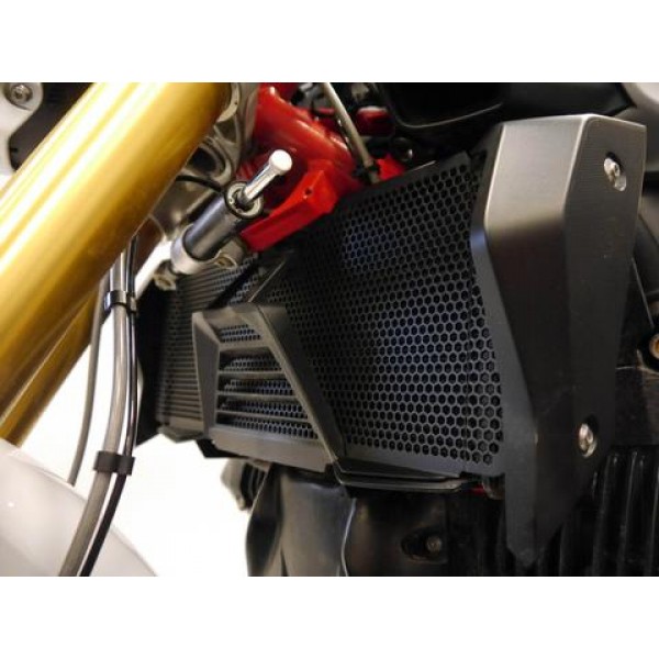 Evotech EP Radiator Guard For BMW R 1250 R 2019+ Part # PRN012256-04