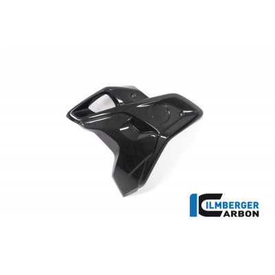 Ilmberger Carbon Airtube Left Incl. Flap (2 Pieces) For BMW R 1250 GS Part # WKL.004.GS19T.K
