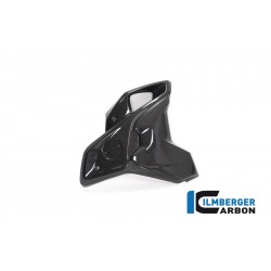 Ilmberger Carbon Airtube Right Incl Flap (2pieces) For BMW R 1250 GS Part # WKR.005.GS19T.K