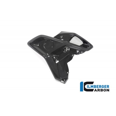Ilmberger Carbon Airtube Right Side (For Orig. Stainless Steel Deflector) For BMW R 1250 GS Part # WKR.025.GS19T.K