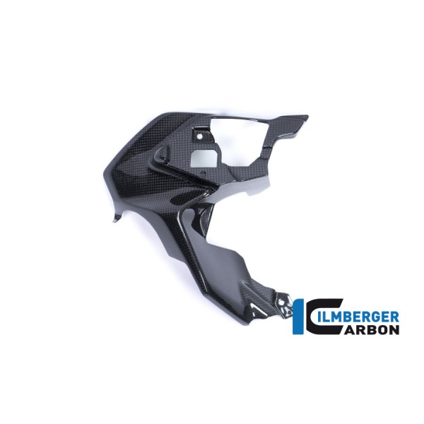Ilmberger Carbon Airvent Cover Right Side For BMW R 1200 GS Part # LAR.004.GS17L.K