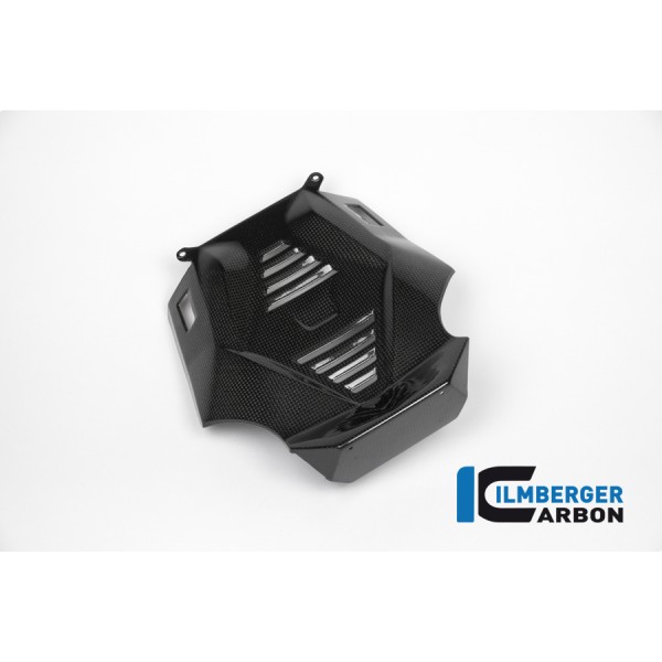 Ilmberger Carbon Bellypan Central Part Carbon For BMW R 1200 R / RS Part # MSM.015.R12RL.K