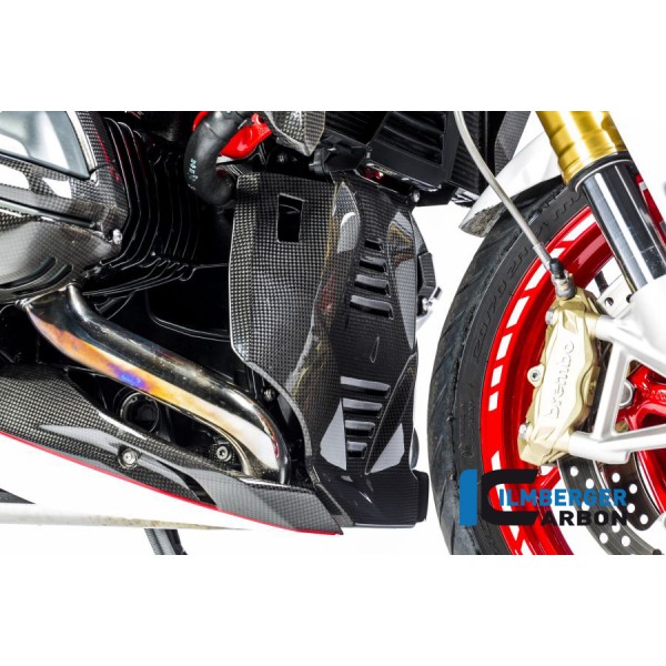 Ilmberger Carbon Bellypan Central Part Carbon For BMW R 1200 R / RS Part # MSM.015.R12RL.K