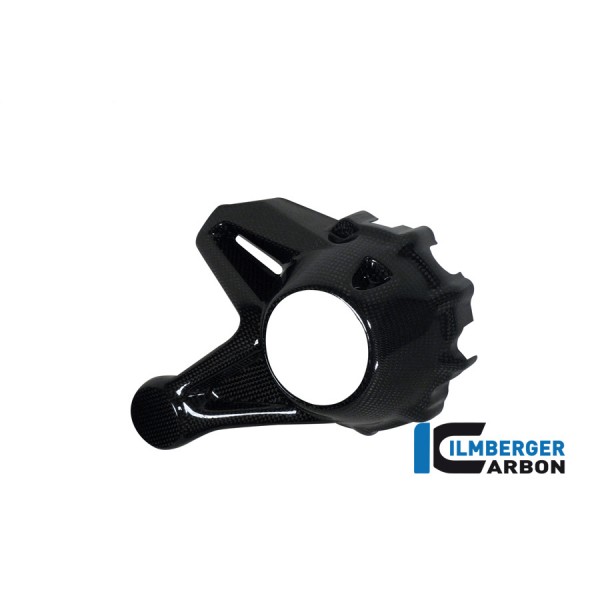 Ilmberger Carbon Bevel Drive Housing Protector Carbon For BMW R 1200 R / RS Part # KGA.008.GS12L.K