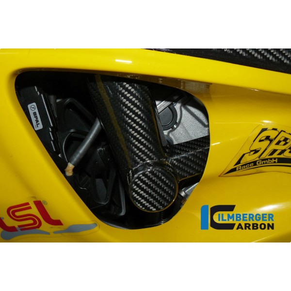 Ilmberger Carbon Crashpade On The Frame (Left) Carbon For BMW S 1000 RR Part # SPL.091.S1RAR.K
