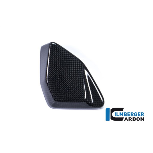 Ilmberger Carbon Esa Box Cover For BMW R 1200 GS Part # ESA.013.GS17L.K