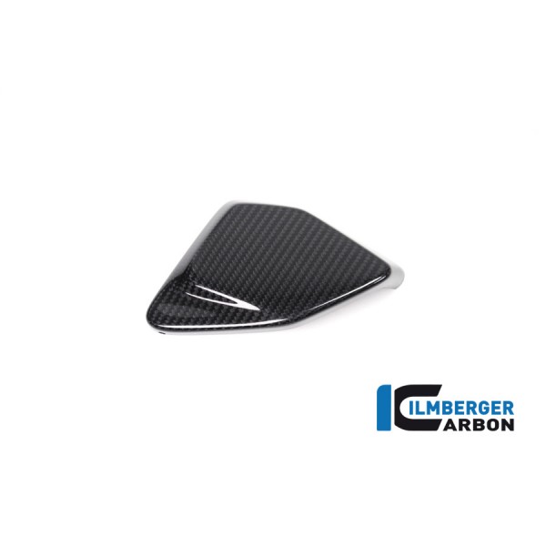 Ilmberger Carbon Esa Box Cover For BMW R 1250 GS Part # ESA.034.GS19T.K