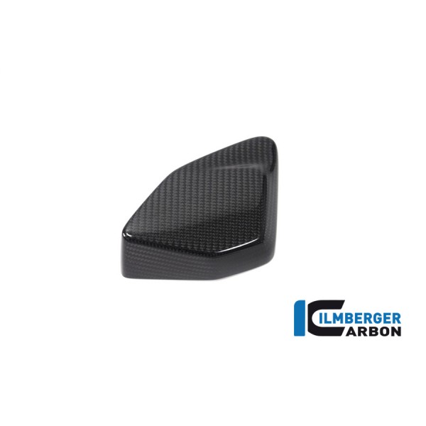 Ilmberger Carbon Esa Box Cover For BMW R 1250 GS Part # ESA.034.GS19T.K