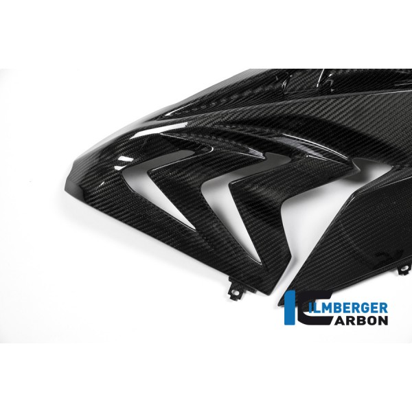 Ilmberger Carbon Fairing Side Panel (Right) For BMW S 1000 RR Part # VER.302.S115S.K