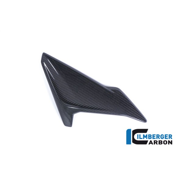 Ilmberger Carbon Fairing Side Panel (Right) For BMW S 1000 R / RR Part # VER.001.S117N.K