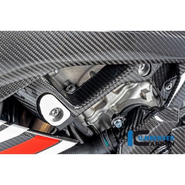 Ilmberger Carbon Frame Cover M Frame Big Left For BMW S 1000 RR Part # RAL.009.S119S.K
