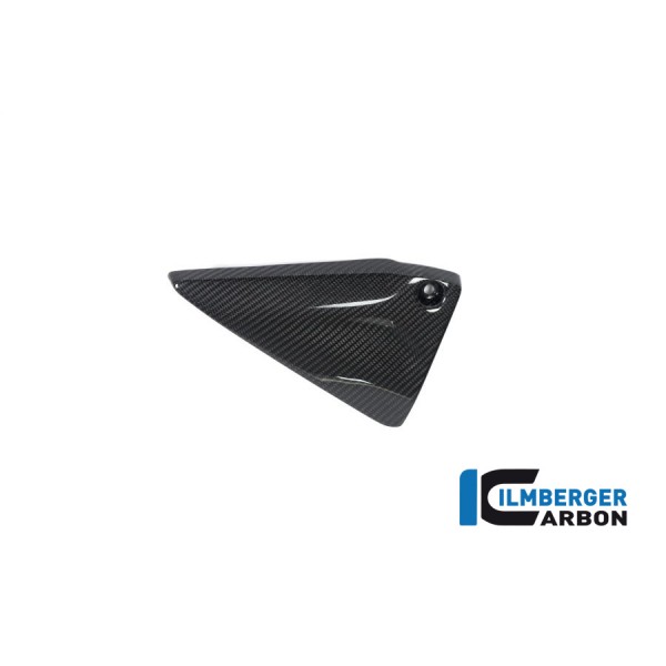 Ilmberger Carbon Frame Triangle Cover Left Side For BMW R 1250 GS Part # RDL.023.GS19T.K