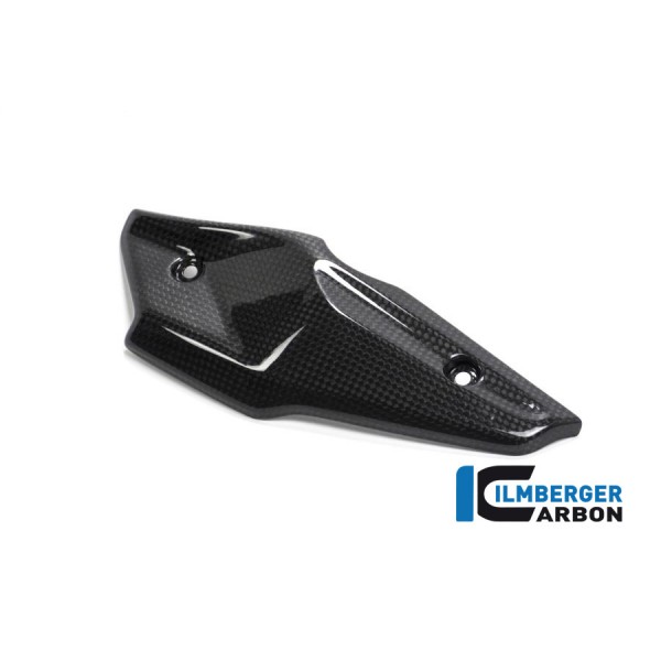 Ilmberger Carbon Injector Cover For BMW R nineT Part # ASL.016.SCR16.K