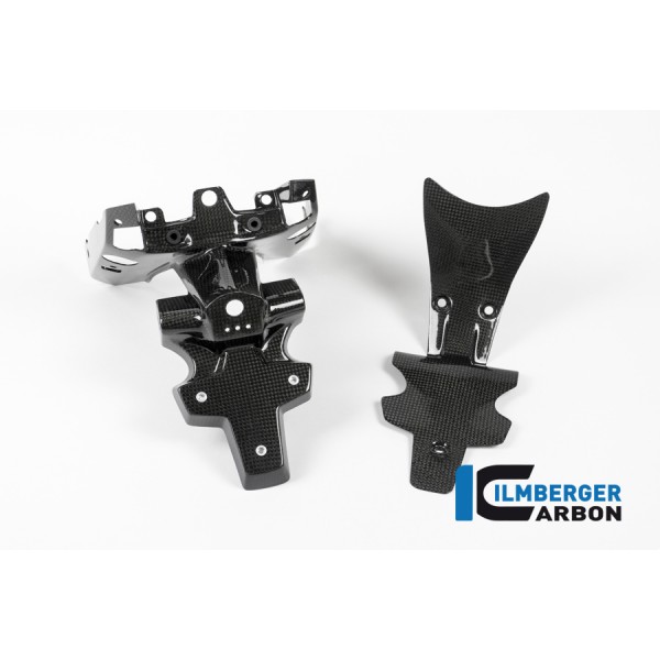 Ilmberger Carbon Number Plate Holder Carbon For BMW R 1200 R / RS Part # NHO.018.R12RL.K