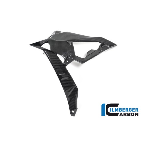 Ilmberger Carbon Radiator Cover / Badge Holder Left Side For BMW S 1000 R Part # WKL.004.S117N.K
