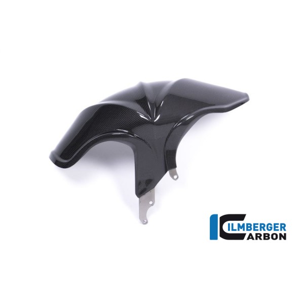Ilmberger Carbon Rear Fender For BMW R 1200 R / RS Part # KHO.182.R18RL.K