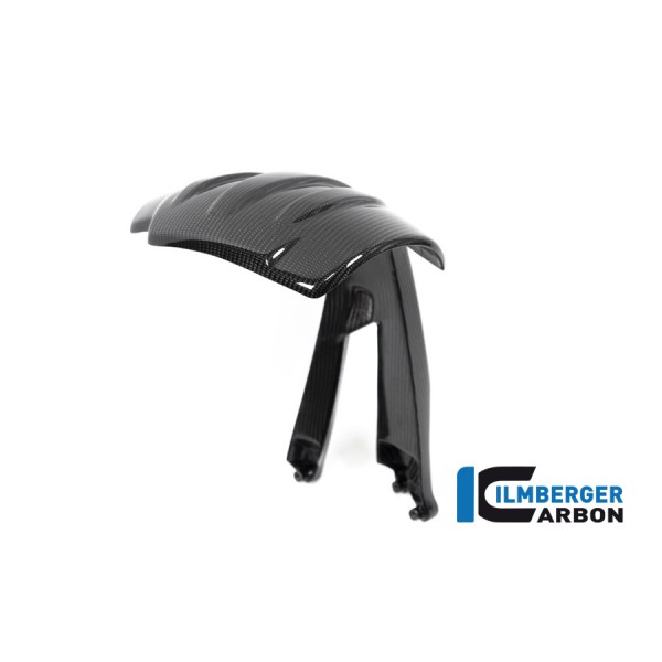 Ilmberger Carbon Rear Splash Guard For BMW R 1250 GS Part # SPS.010.GS19T.K