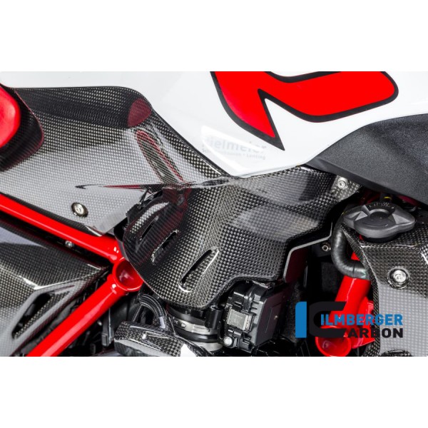 Ilmberger Carbon Side Panel Under The Tank Right Side Carbon For BMW R 1200 R Part # TUR.007.R12RL.K