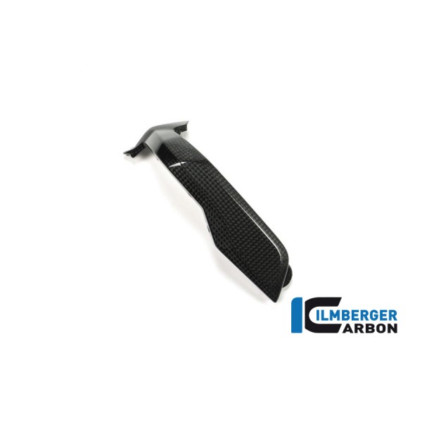 Ilmberger Carbon Spark Plug Cover Left Side Carbon For BMW R 1200 GS Part # ZKL.001.LCBOX.K