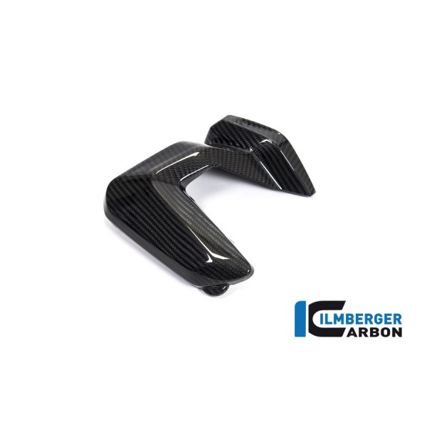Ilmberger Carbon Spark Plug Cover Right Side For BMW R 1250 GS Part # ZKR.013.GS19T.K