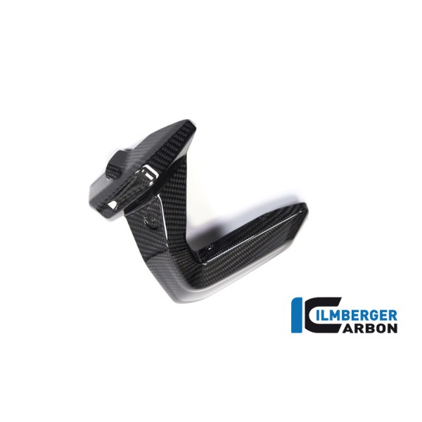 Ilmberger Carbon Spark Plug Cover Right Side For BMW R 1250 GS Part # ZKR.013.GS19T.K