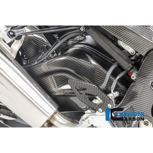 Ilmberger Carbon Swing Arm Cover (Set - Left And Right) For BMW S 1000 R Part # SCA.022.S100S.K