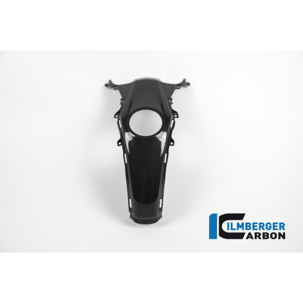 Ilmberger Carbon Tank Centre Panel Carbon For BMW R 1200 R / RS Part # TAO.012.R12RL.K