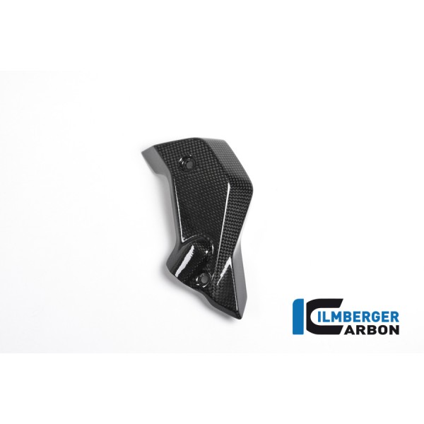 Ilmberger Carbon Watercooler Cover Right Side Carbon For BMW R 1200 R Part # WKR.009.R12RL.K