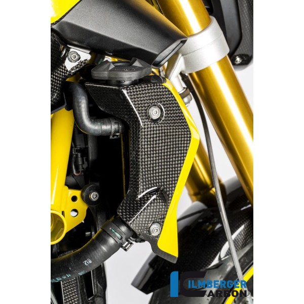 Ilmberger Carbon Watercooler Cover Right Side Carbon For BMW R 1200 R Part # WKR.009.R12RL.K