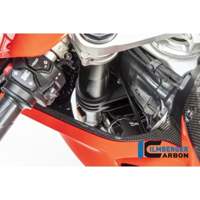 Ilmberger Carbon Air Tube Cover Left Gloss For Ducati Panigale V4 / V4 S Part # WAL.028.DPV4G.K