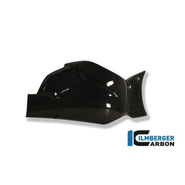 Ilmberger Carbon Swingarm Cover / Chain Guard Carbon For Honda CB1000R Part # SCA.013.CB10R.K