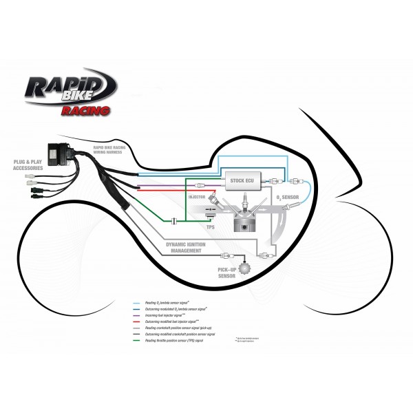 Rapid Bike Racing Fuel Management Module For Benelli TRK 502 / X / Leoncino 500 Part # KRBRAC-141