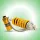 Suspension Shock Fork & Dampers 