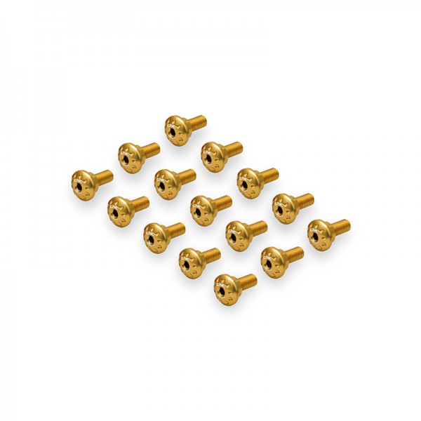 CNC RACING SCREW KIT SIDE FAIRING GOLD FOR APRILIA RS 660 2020-2024 PART # KV463G 