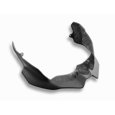 DBK CARBON LOWER HEADLIGHT PROTECTION FOR DUCATI STREETFIGHTER V2 2024 PART # CRB08O 