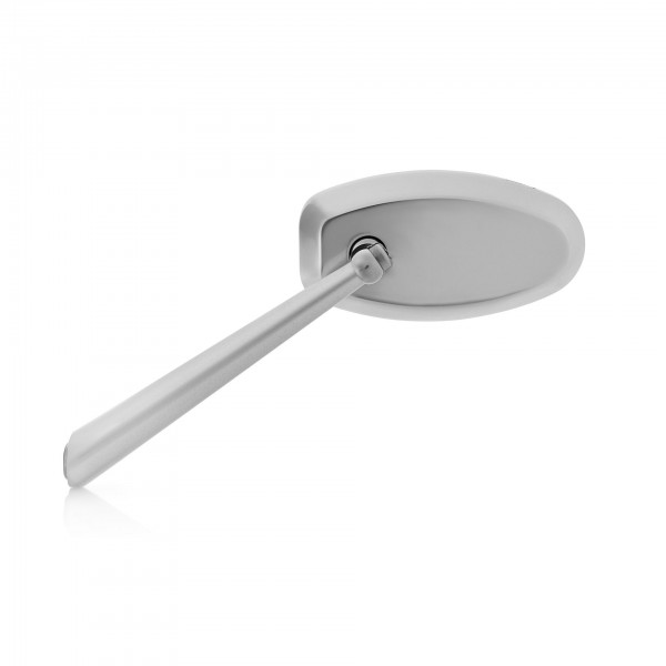 Rizoma Silver Anodized Dynamic Triumph Trident 660 (2021) (2021) Left&Right Part# BS080A