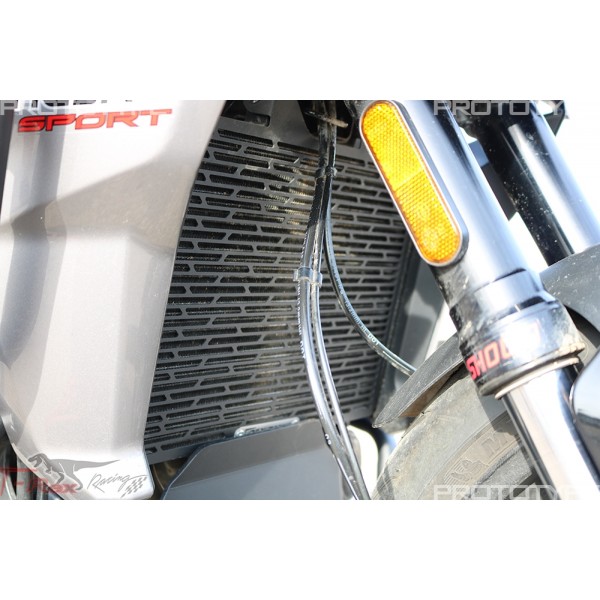 T-REX RADIATOR GUARDS FOR DUCATI DESERT X 2022 - 2024 PART # N16-21RG