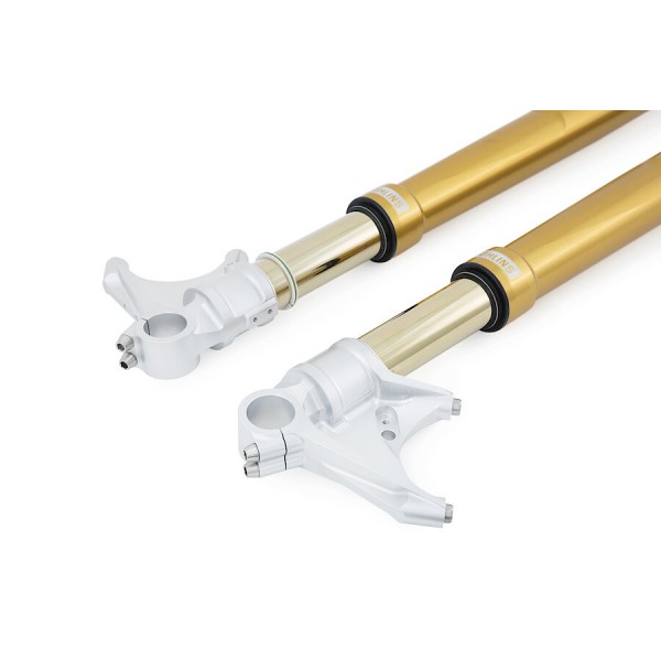 OHLINS FRONT FORK ROAD TRACK UPSIDE DOWN  FOR BMW S 1000 RR 2019-2024 PART # FGRT 232