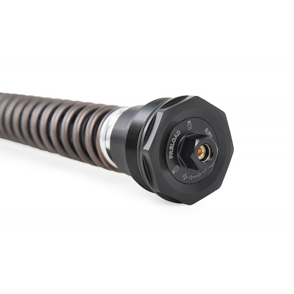 ÖHLINS NIX 30 STREET CARTRIDGE KIT FOR KAWASAKI Z900 2020-2022 PART #  FKS 502