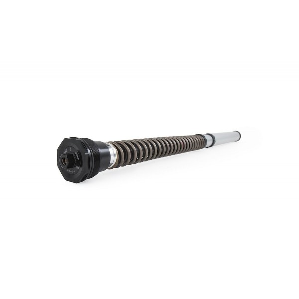 ÖHLINS NIX 30 STREET CARTRIDGE KIT FOR KAWASAKI Z900 2020-2022 PART #  FKS 502